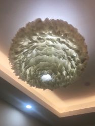 -莲姿娜半永久纹眉皮肤管理