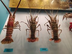 -天津自然博物馆