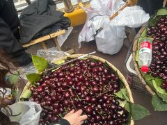 -七浦路服装批发市场