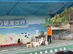 -光明农场大观园