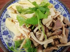 -九斤黄三黄鸡专卖店