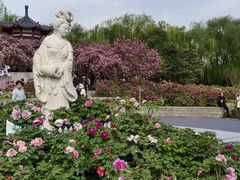 -洛阳市隋唐城遗址植物园