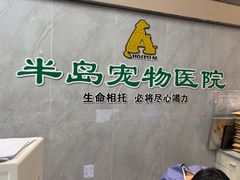-半岛宠物医院24小时(科华中路店)