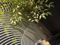 -华夏良子·足道SPA艾灸(金皇大厦店)