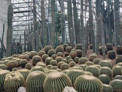 -南山植物园