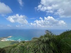 -海南铜鼓岭景区