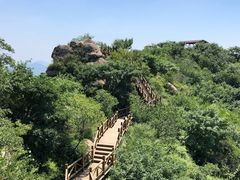 -大岭沟猕猴桃谷风景区