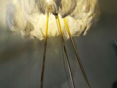 -伊斯坦布尔土耳其清真咖啡餐厅