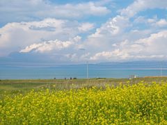 -青海湖国家重点风景名胜区