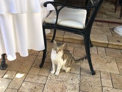 -Seraser Fine Dining Restaurant