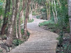 -深圳仙湖植物园