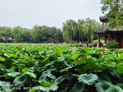-莲池书院博物馆