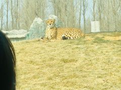 -北京野生动物园