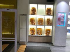 -KAKAO FRIENDS(弘大店)