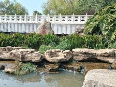 -洛龙公园