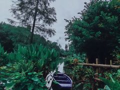 -深圳仙湖植物园