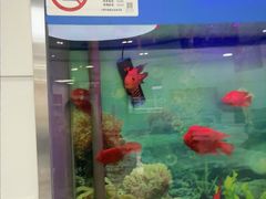-雅悦齿科(顾村公园店)