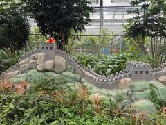 -南宫五洲植物乐园