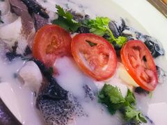 千岛湖浓汤鱼头-全乐鱼馆·淳牌有机鱼直营店