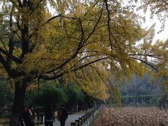 四川大学(华西校区)-四川大学(华西校区)