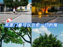 -音乐广场