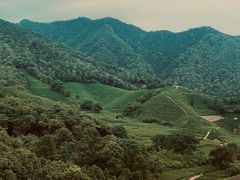 -午潮山国家森林公园