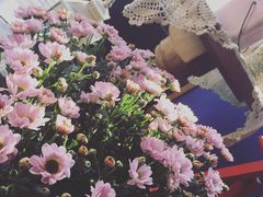 -静香HOUSE·全时段融合餐厅(七星欢乐颂店)