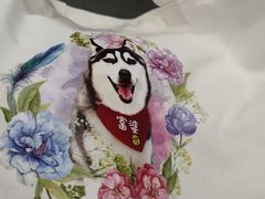 -Husky Go! 哈士奇体验馆·宠物咖啡厅狗咖