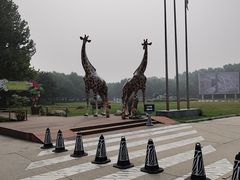 -北京野生动物园