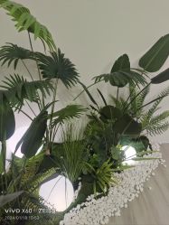 -HEYAN荷妍专业脱毛连锁机构