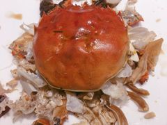 -新吉士·上海菜(浦东LCM置汇旭辉店)