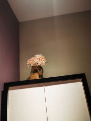 -香秀空间科技抗衰·美容中心