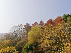 -中华孝德园