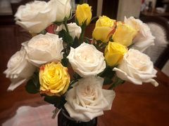 -沪花拾者(好再来花卉鲜花店)