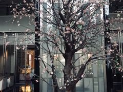 -成都安仁福朋喜来登酒店