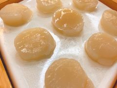 冰镇带子-天宝食坊·啫啫煲大排档(西华路店)