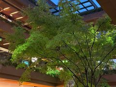-瑞虹新天地月亮湾