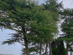 -钟山体育运动公园