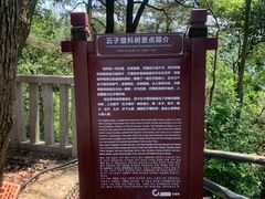 -石燕湖生态旅游景区
