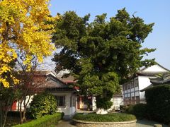 -南通濠河风景名胜区