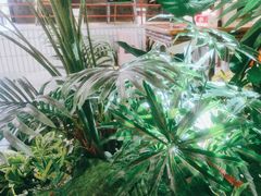 -高胖妹面庄(黄河道店)