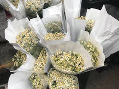 -循礼门鲜花花市(武汉循礼门店)