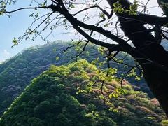-沣峪口