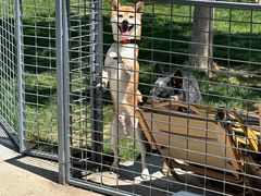 -爪吧宠物乐园 (温榆河示范区店)