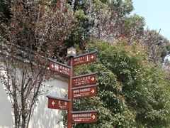 -八大山人梅湖景区