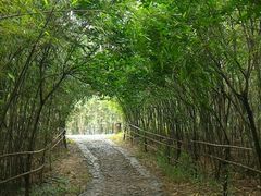 -金孔雀温泉旅游度假村