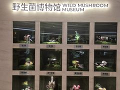 -上海七宝领展广场