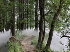 -东湖落雁景区