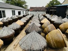 -苏州市吴中区光福窑上花果蜜饯厂