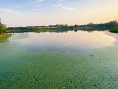 -东郊湿地公园